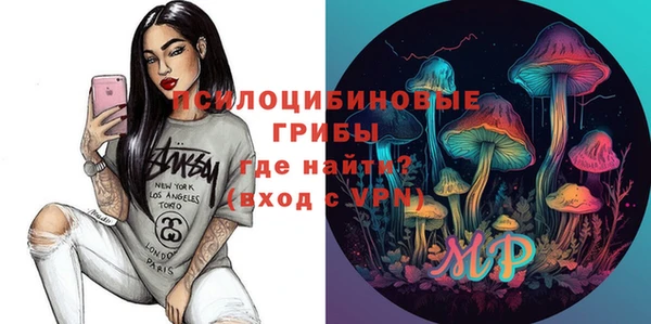 гидропоника Алзамай
