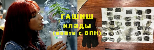 гидропоника Алзамай