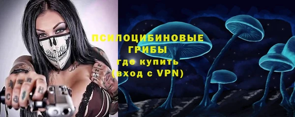 гидропоника Алзамай