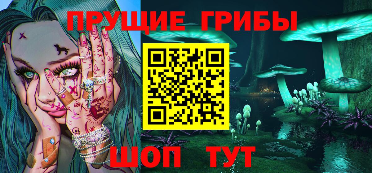 Псилоцибиновые грибы Cubensis Брянск
