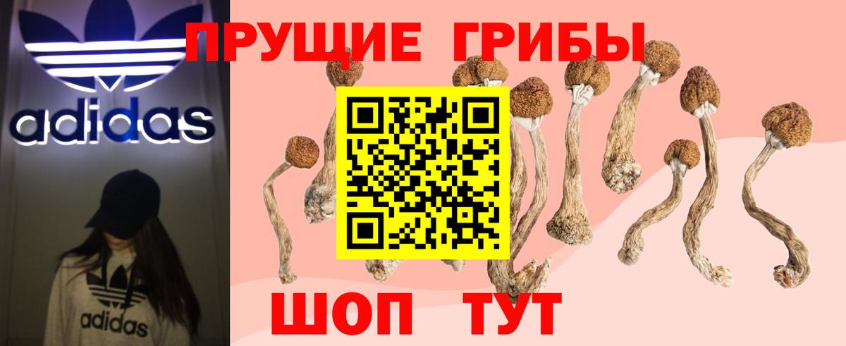купить закладку  Галлюциногенные грибы прущие грибы  Вход с VPN  Псилоцибиновые грибы мухоморы  Брянск 